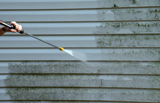 Best Residential Mold Removal  in Manassas, VA