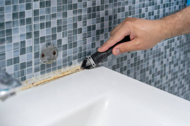Best Emergency Mold Removal  in Manassas, VA