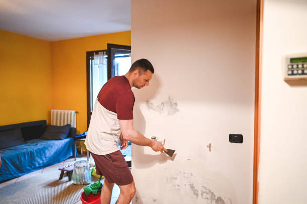 Best Certified Mold Removal  in Manassas, VA